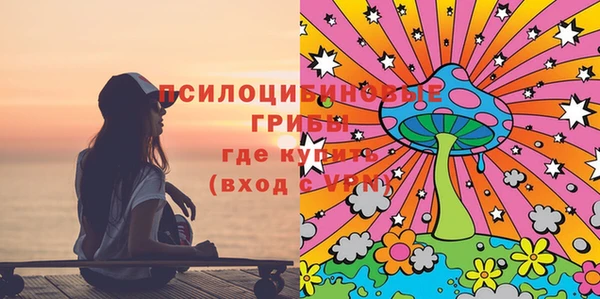 ECSTASY Липки
