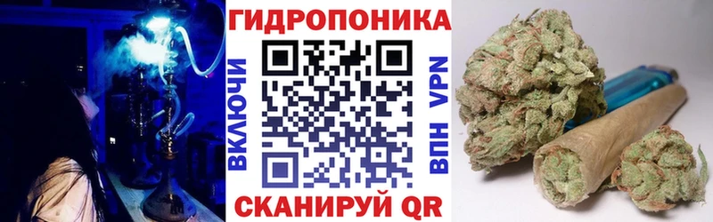 Бошки Шишки THC 21% Купить Сосенский